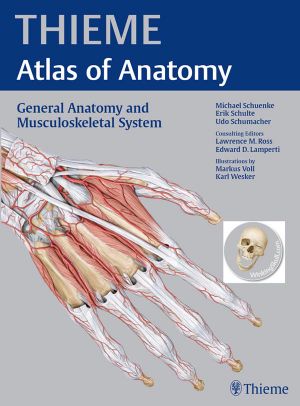 [Thieme Anatomy 01] • General Anatomy and Musculoskeletal System